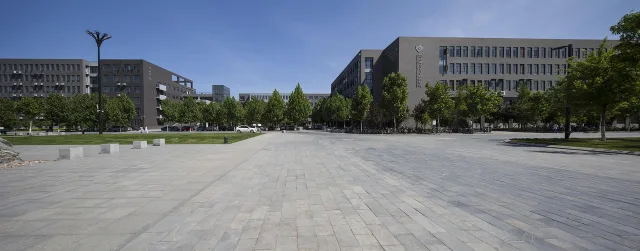 Pakistani university students discussing career options and skill development on a modern campus