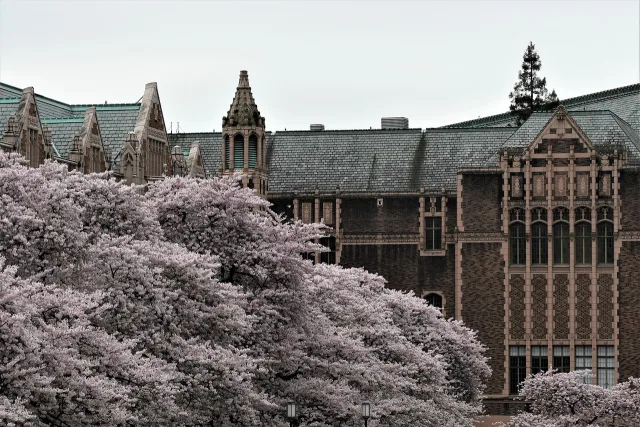 University College London campus building with students walking outside