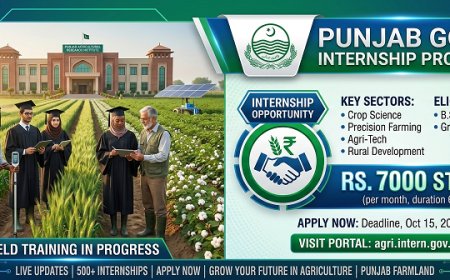 CM Punjab Agriculture Internship 2026: Rs. 70,000 Stipend for BSc (Hons) Agriculture Graduates