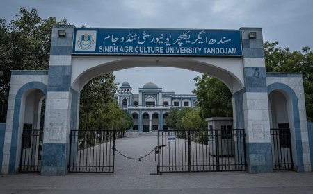 Sindh Agriculture University Tandojam Closed: Academic Activities Suspended After 11 Injured in Student Clash — Official Notice