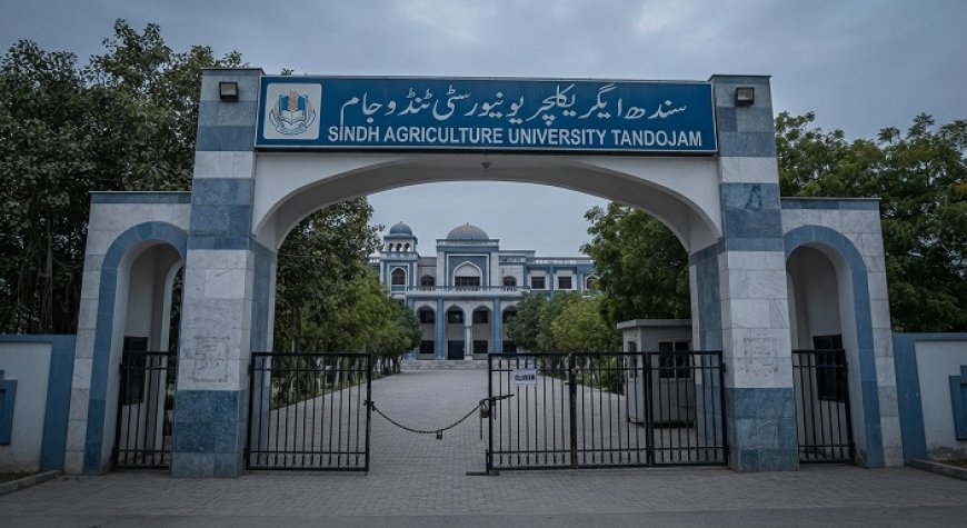 Sindh Agriculture University Tandojam Closed: Academic Activities Suspended After 11 Injured in Student Clash — Official Notice